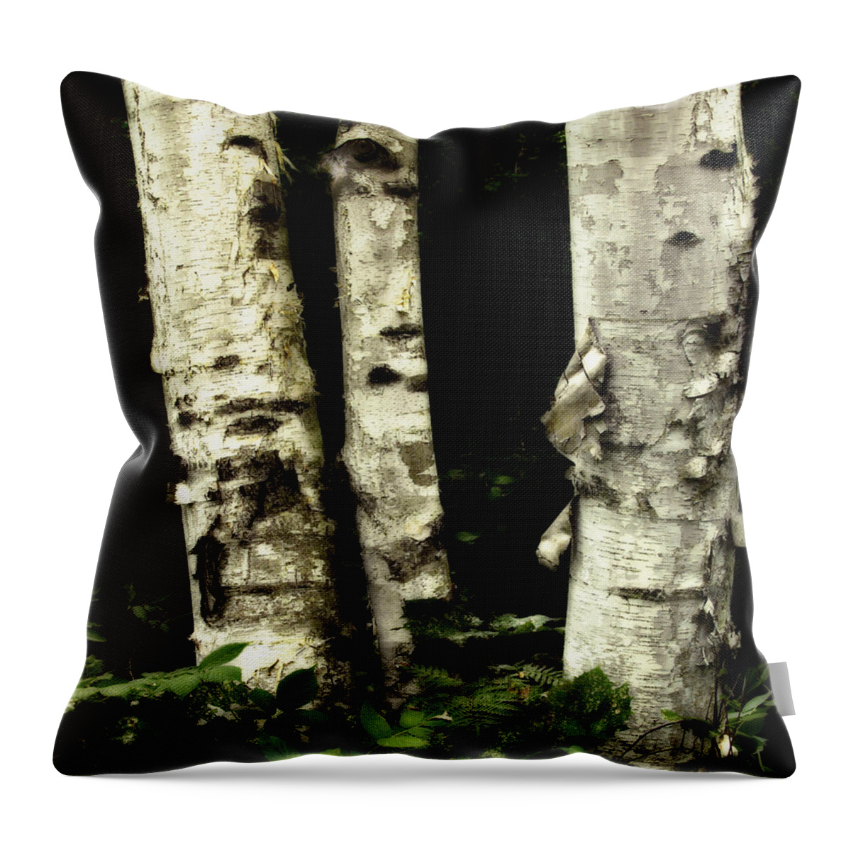 Landscape Throw Pillow featuring the photograph Birch Trio by Claudio Bacinello