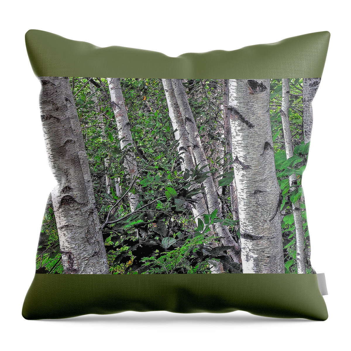 Trees Throw Pillow featuring the photograph Birches by Phyllis Meinke