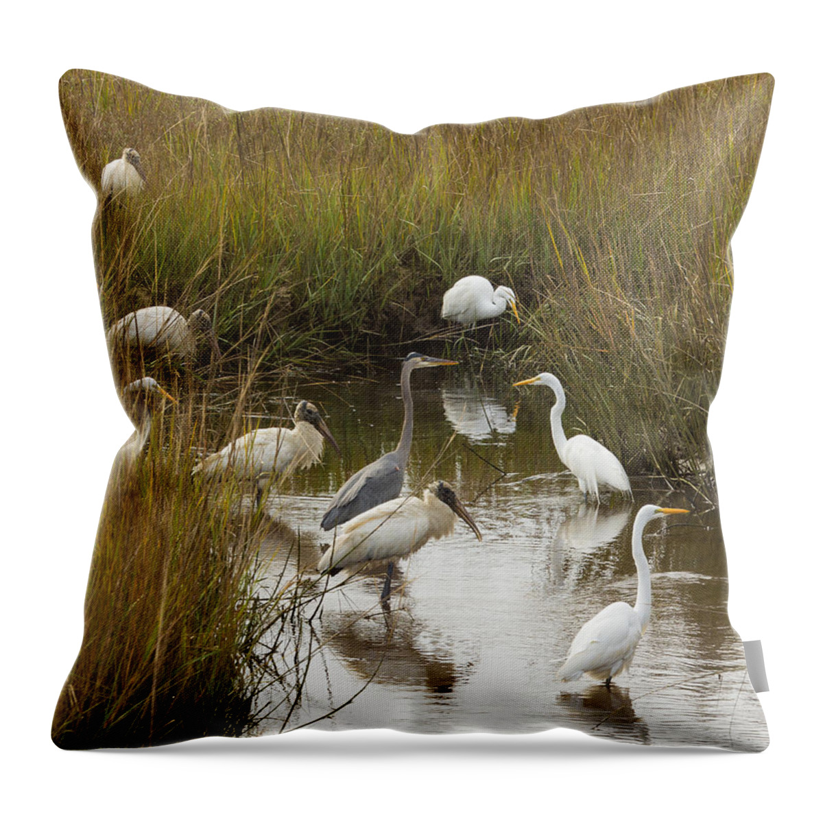 Lowcountry Throw Pillow featuring the photograph Bird Brunch by Patricia Schaefer