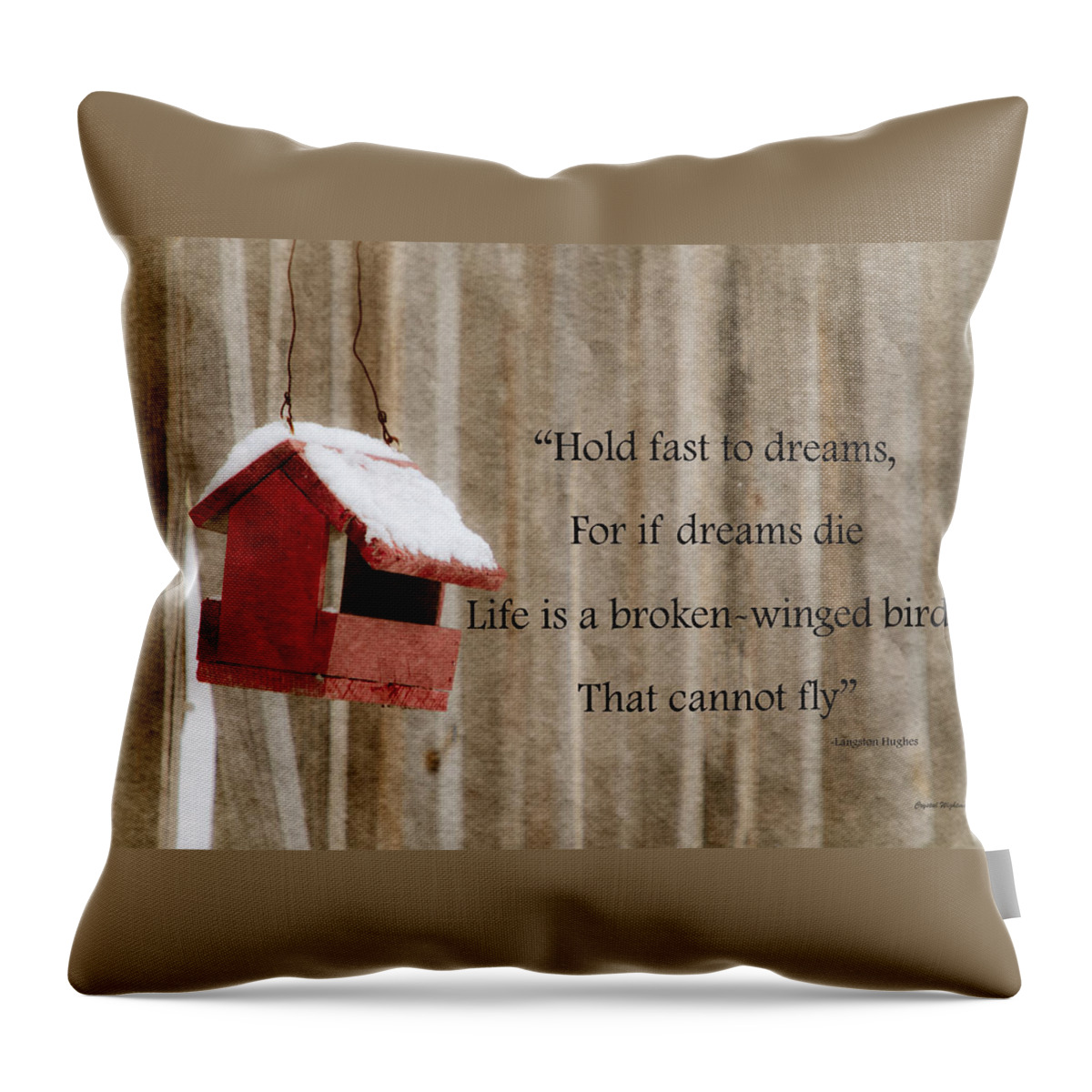 Inspirational Quotes Throw Pillow featuring the photograph Bird House by Crystal Wightman