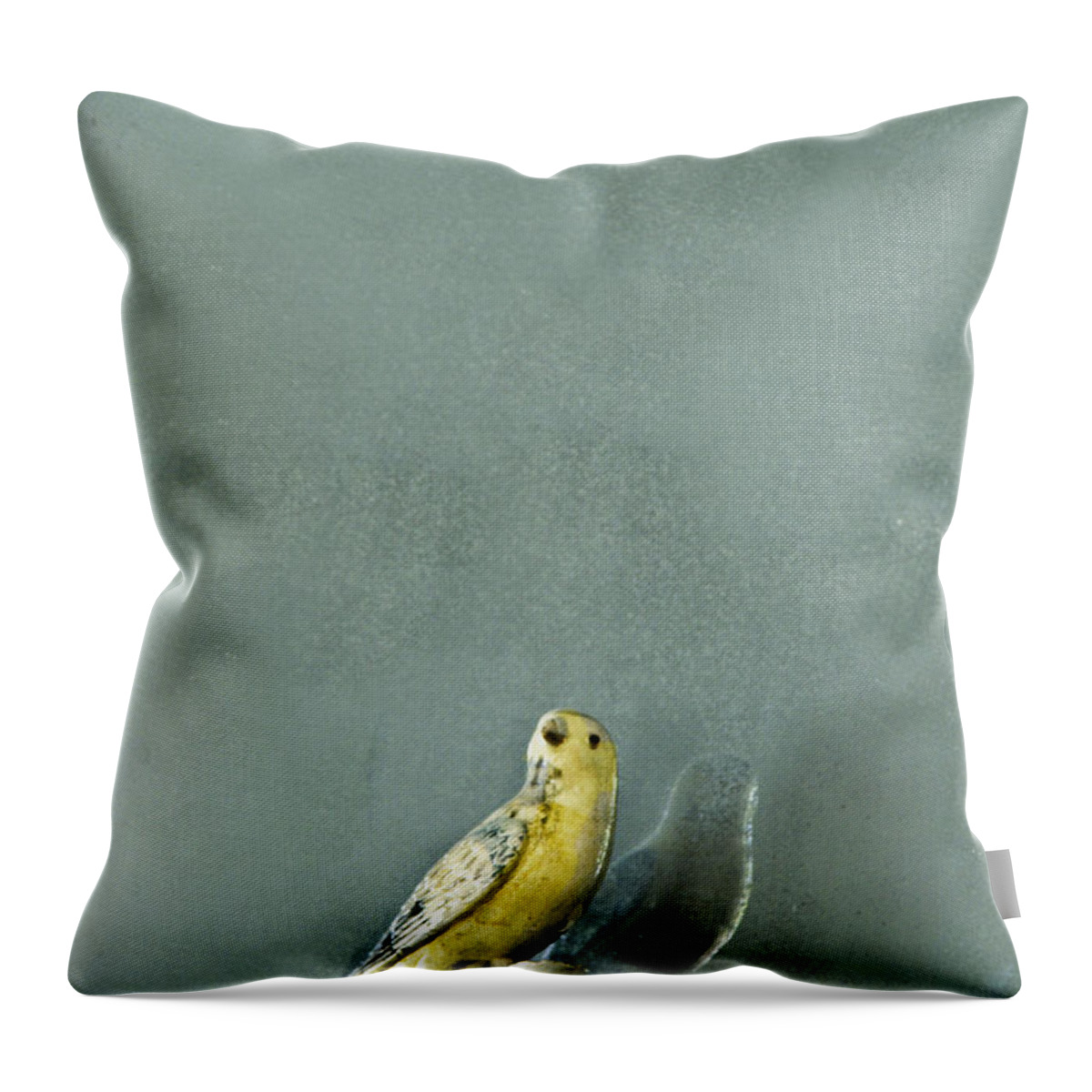 Bird Throw Pillow featuring the photograph Bird by Margie Hurwich