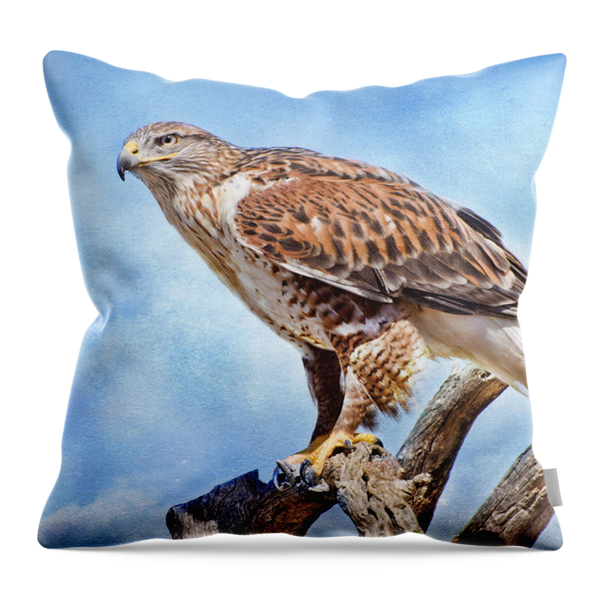 Ferruginous Hawk Throw Pillow featuring the photograph Bird of Prey by Barbara Manis