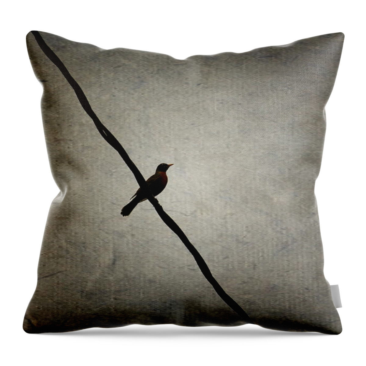 Bird Photographs Throw Pillow featuring the photograph Bird On The Wire by Ester McGuire