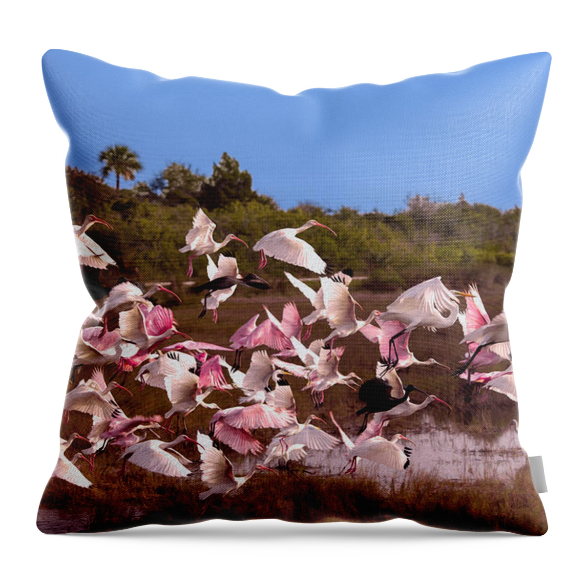 Birds Throw Pillow featuring the photograph Birds Call To Flight by John M Bailey