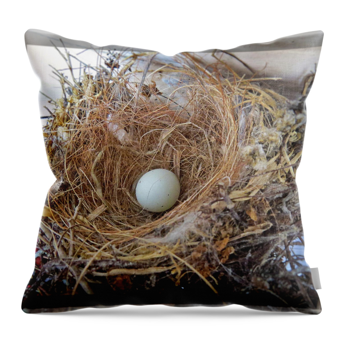 Birds Nest Throw Pillow featuring the photograph Birds Nest - Perfect Home by Ella Kaye Dickey