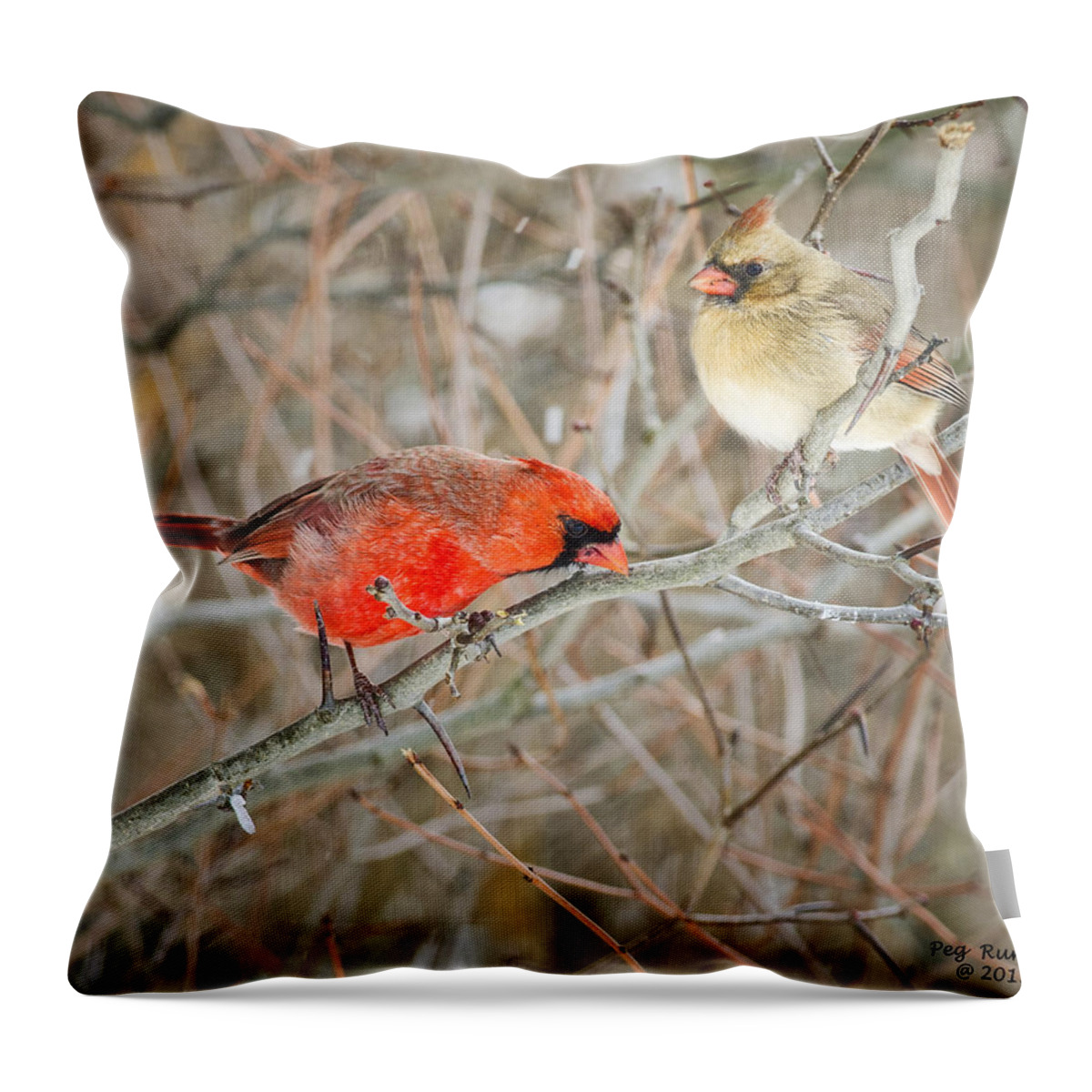 Cardinals Throw Pillow featuring the photograph Birds of a Feather by Peg Runyan