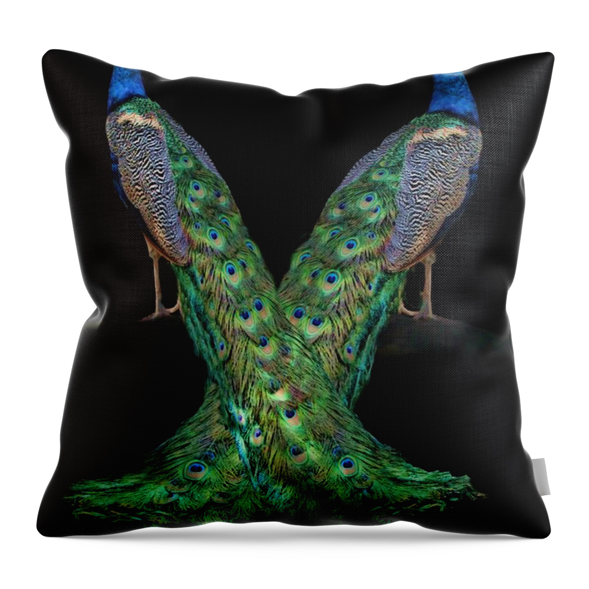 Peacock Throw Pillow featuring the photograph Birds of a Feather by Stephanie Laird