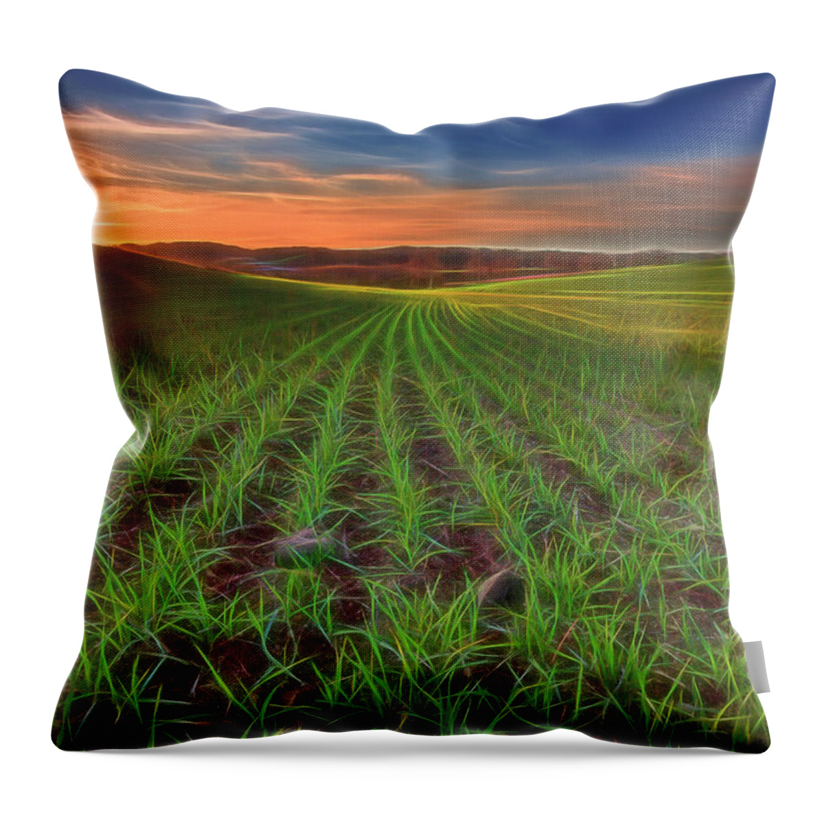  Throw Pillow featuring the photograph Birth of the Bounty by Tim Bryan