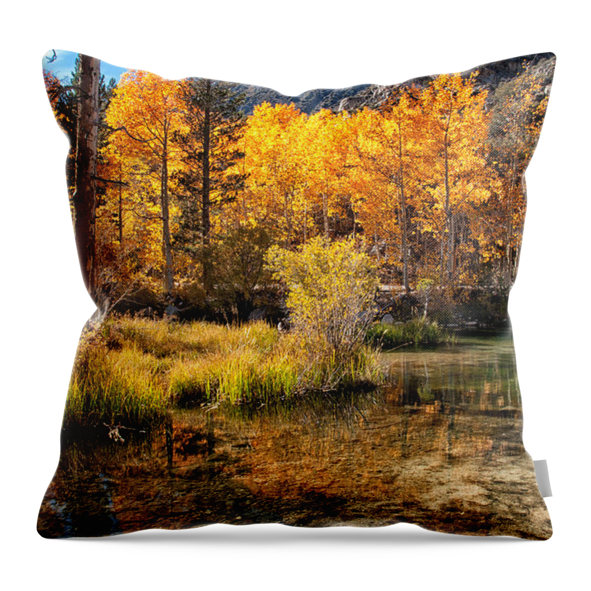 River Throw Pillow featuring the photograph Bishop Creek - Fall by Cat Connor