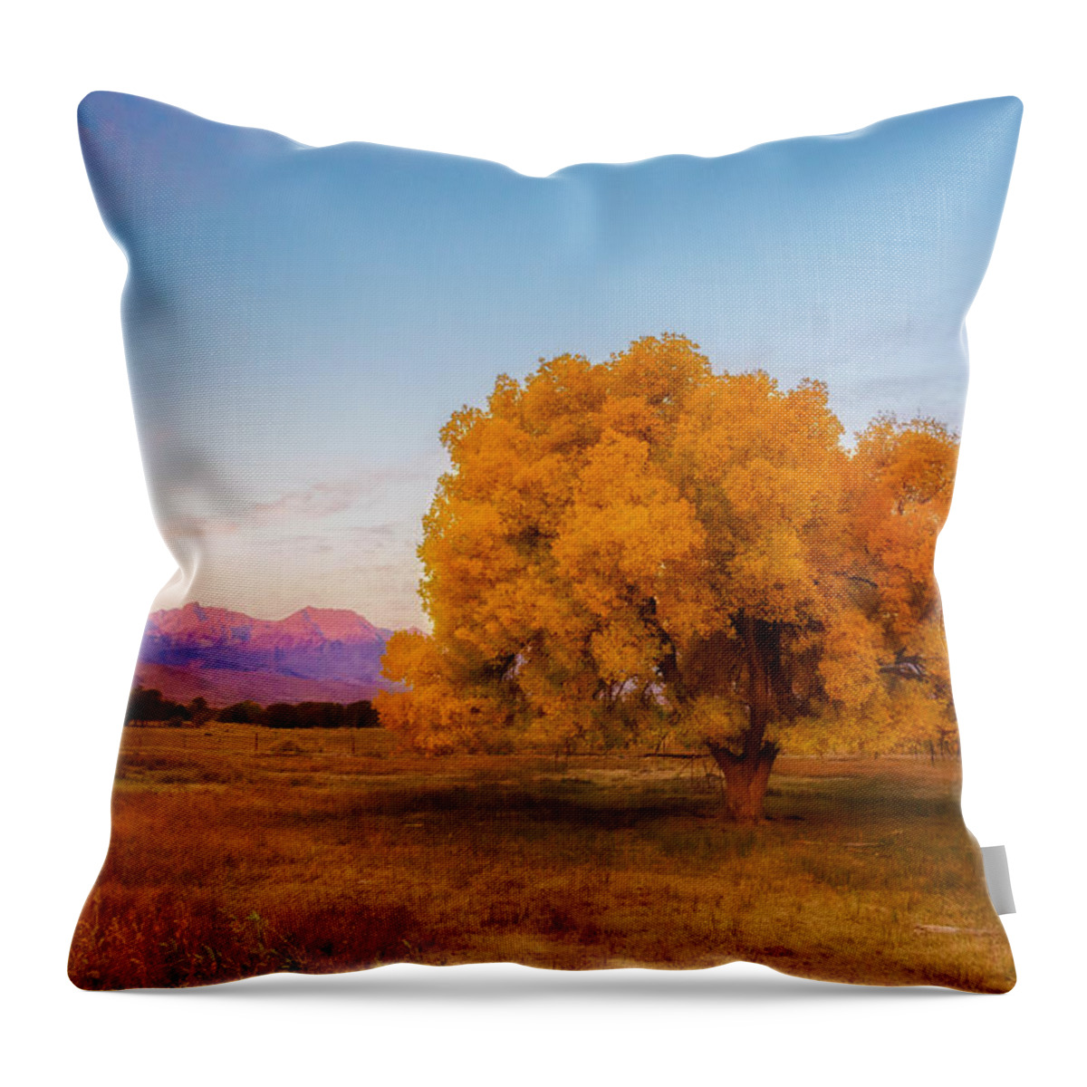 Landscape Throw Pillow featuring the photograph Bishop Sunrise by Tassanee Angiolillo