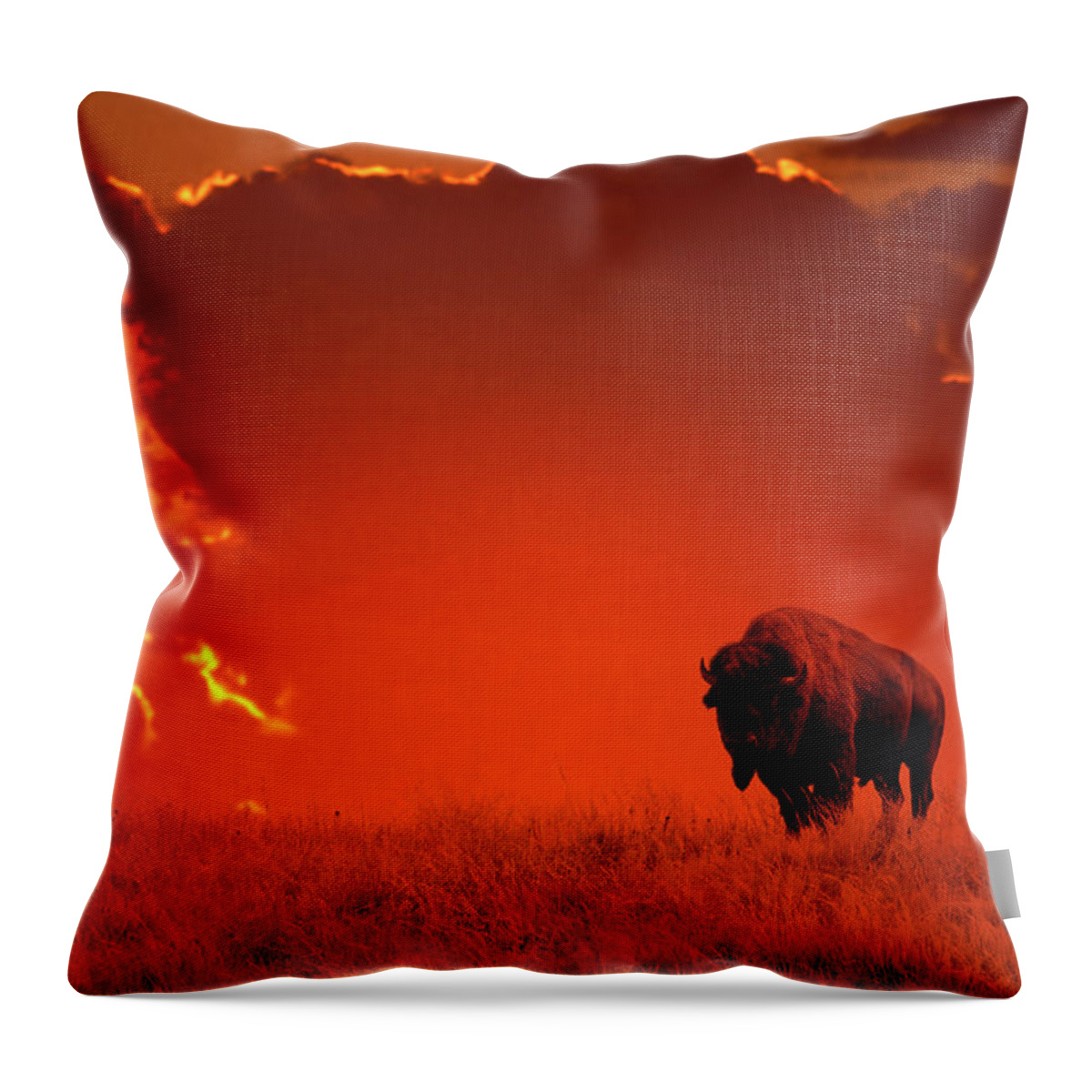 Scenics Throw Pillow featuring the photograph Bison At Sunset by Mark Newman