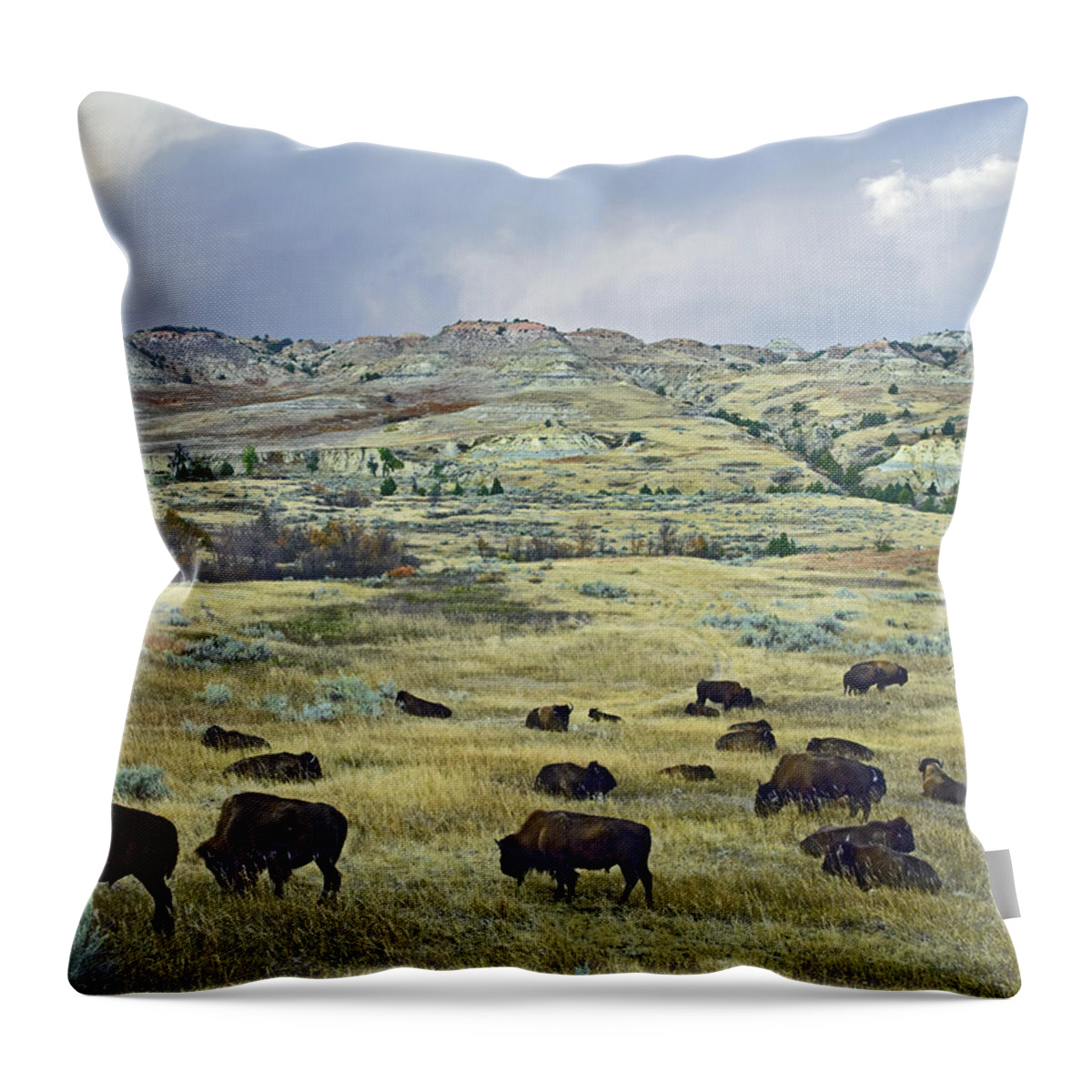Feb0514 Throw Pillow featuring the photograph Bison Herd On Praire Theodore Roosevelt by Tim Fitzharris
