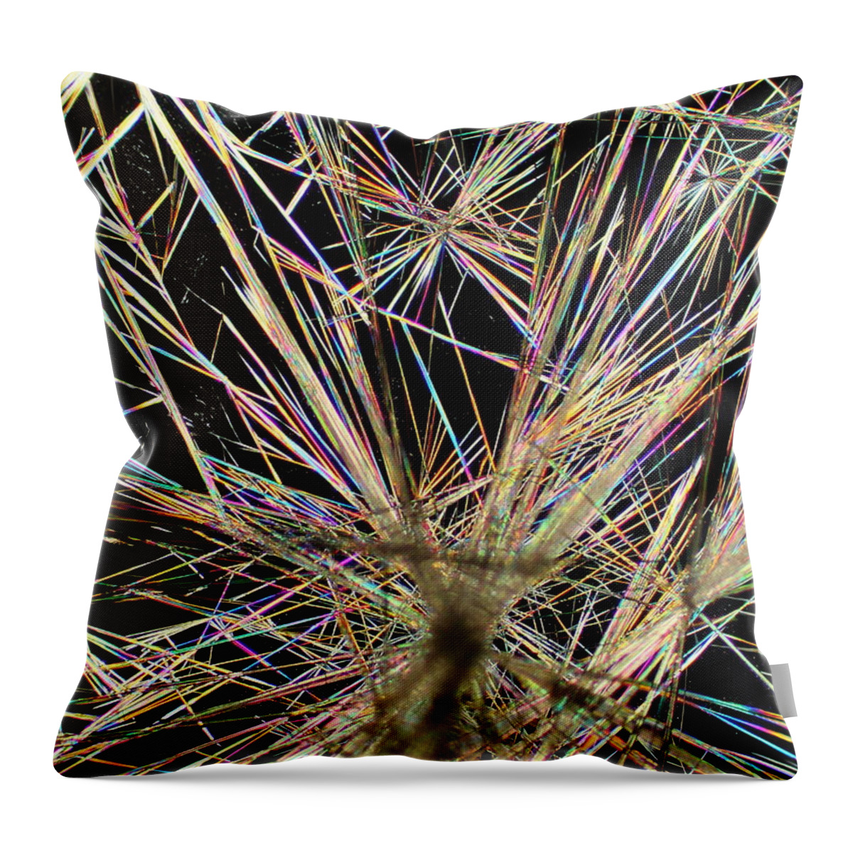 Crystals Throw Pillow featuring the photograph Bitter Jitters by Hodges Jeffery