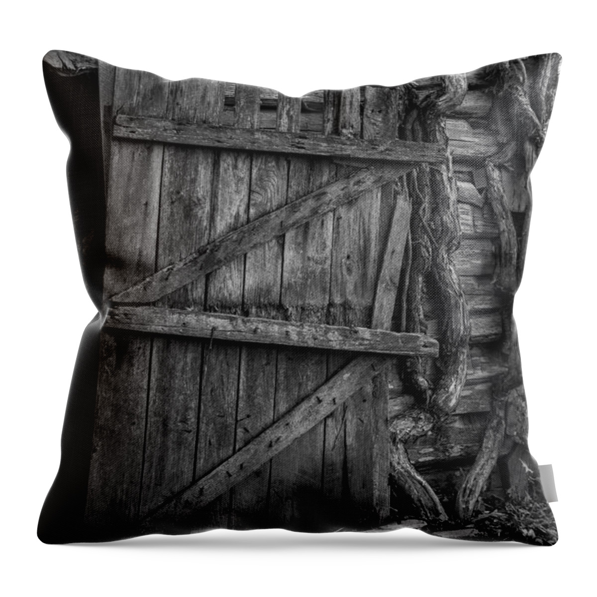 Landscape Throw Pillow featuring the photograph Black and White Barn Door by Amber Kresge