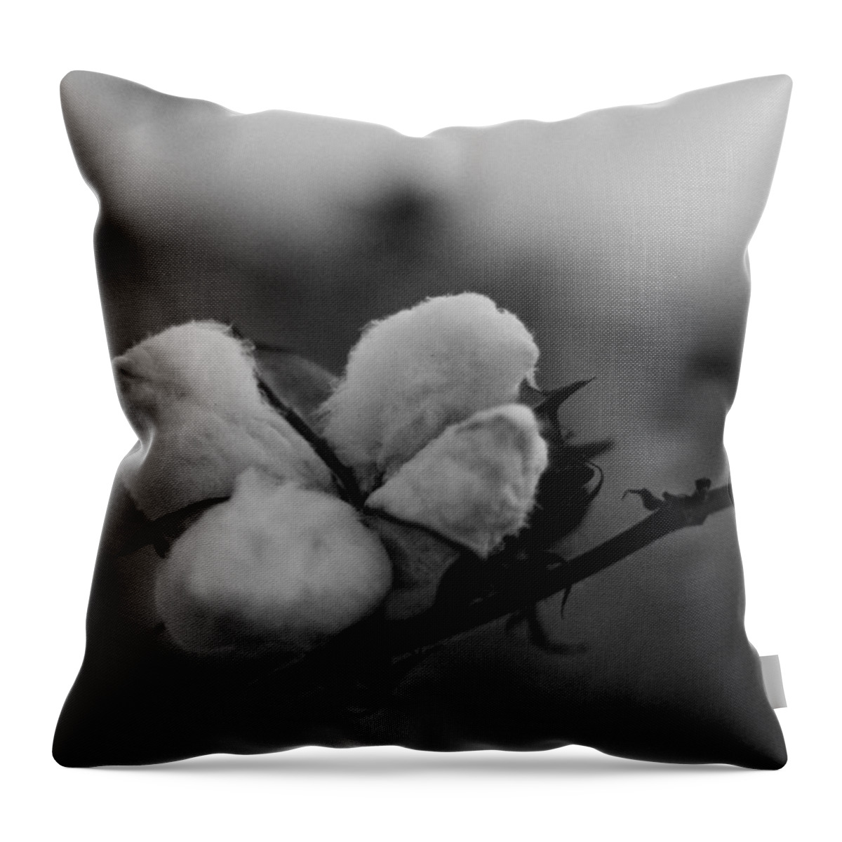 Ag Throw Pillow featuring the photograph Black and White Boll by David Zarecor