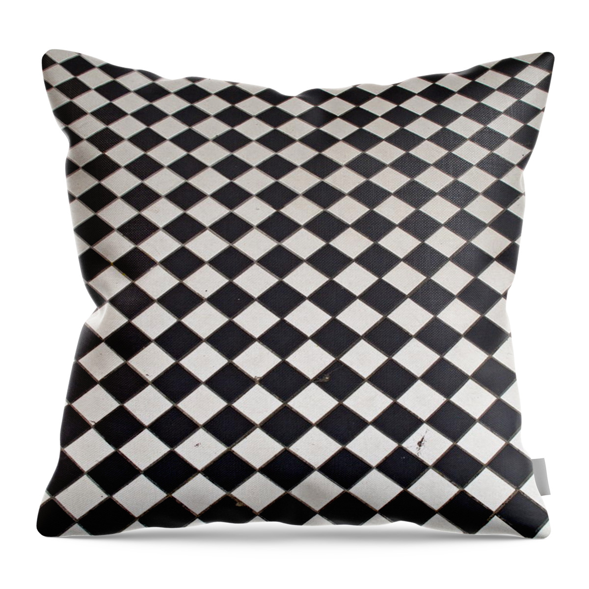 Black Throw Pillow featuring the photograph Black and White by Leeon Photo