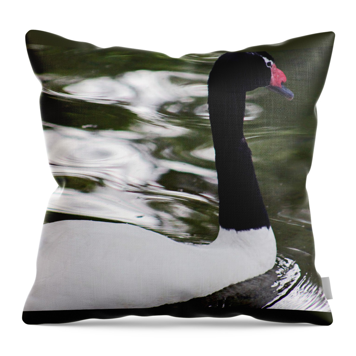 Swam Throw Pillow featuring the photograph Black and White by Lily K