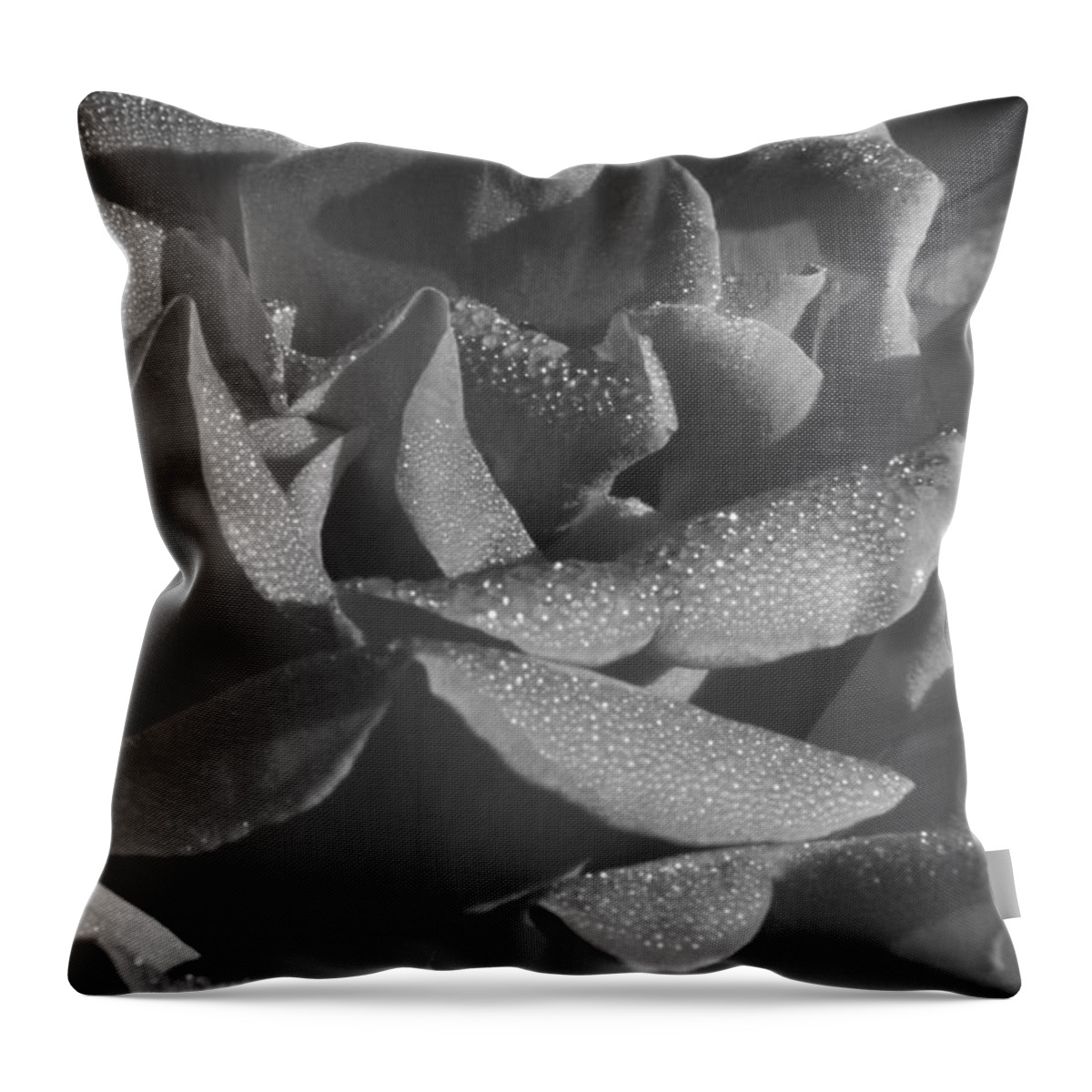 Black And White Throw Pillow featuring the photograph Black and White morning rose by Jennifer E Doll