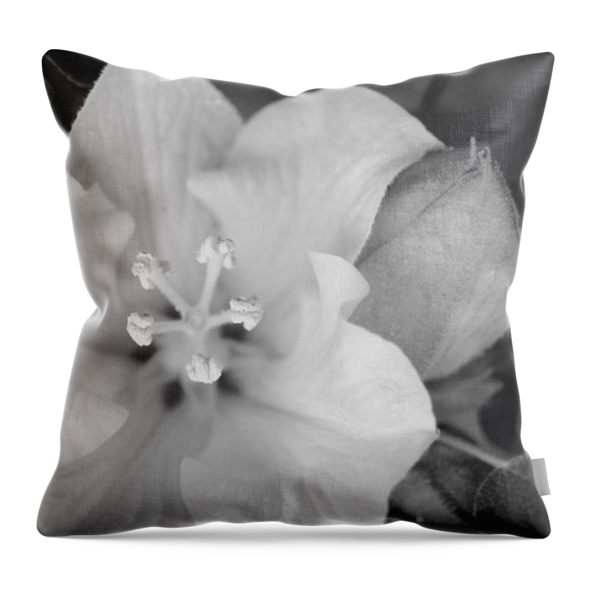 Flower Throw Pillow featuring the photograph Black and White Tree Flower by Amy Fose