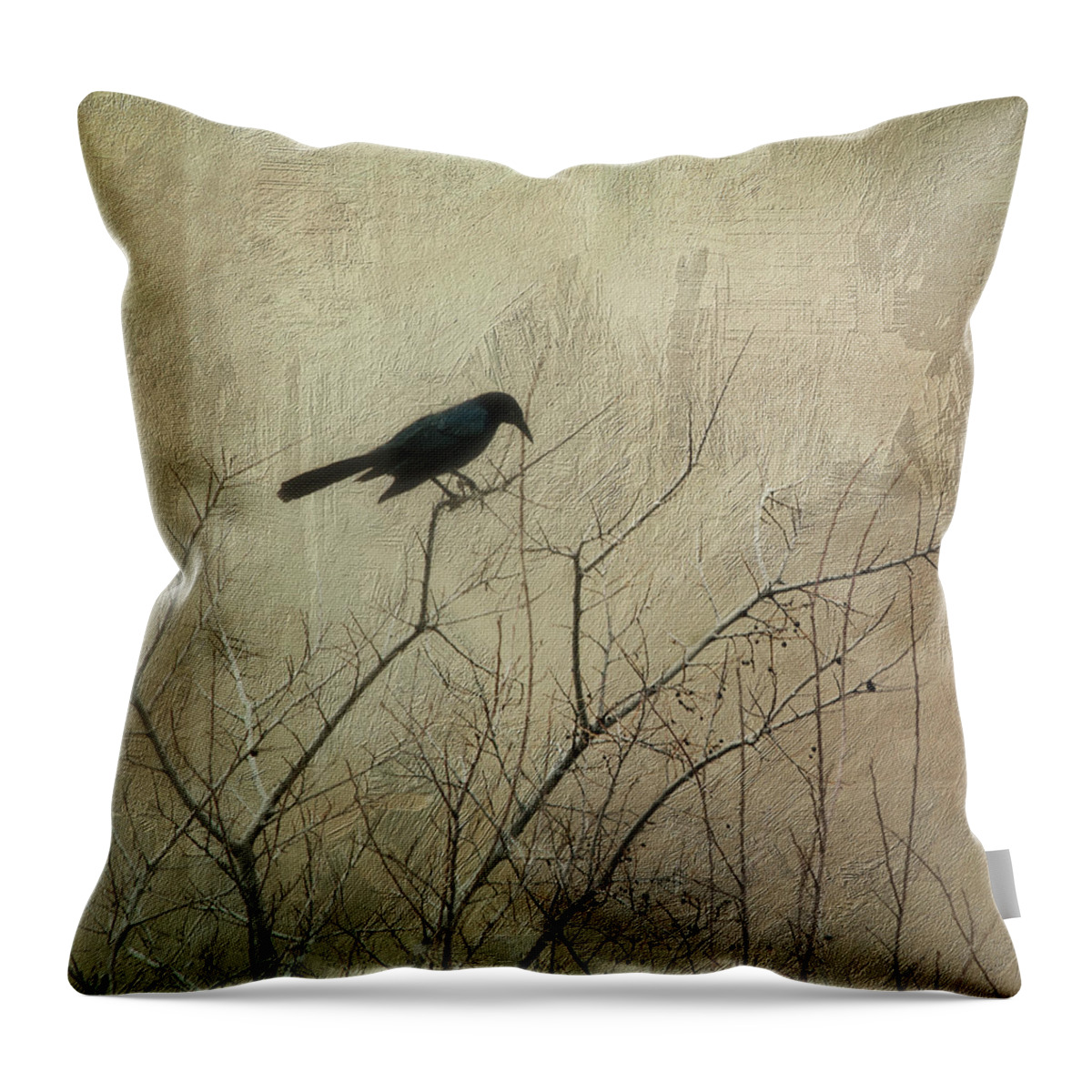 Black Color Throw Pillow featuring the photograph Black Bird On A Tree by © Suzette Rothlisberger