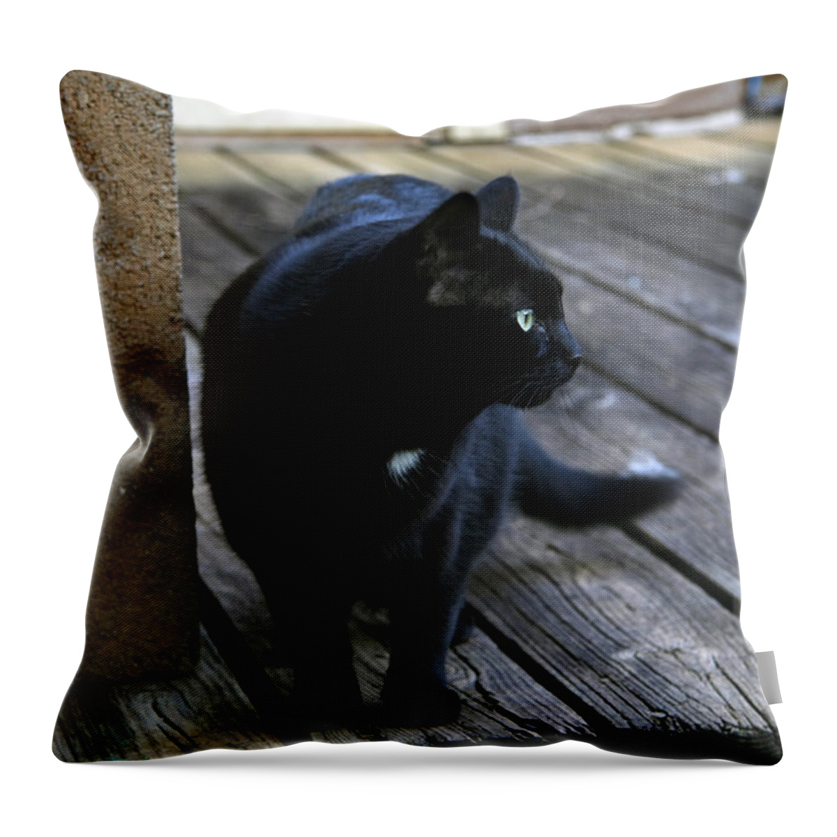 Black Throw Pillow featuring the photograph Black Cat on Porch by Melinda Fawver