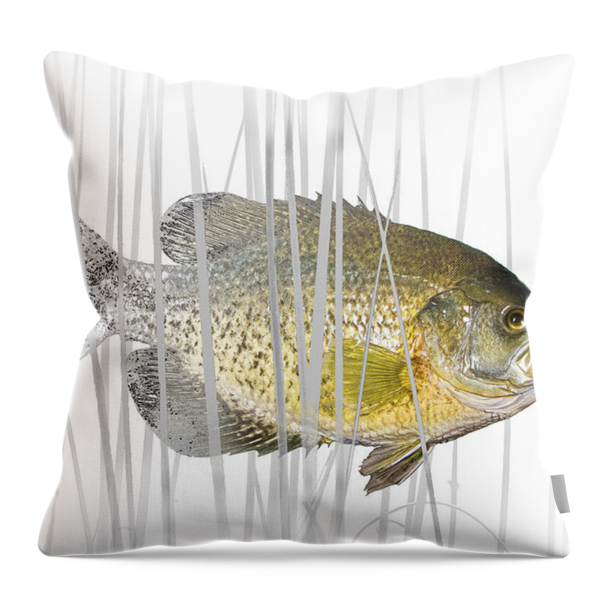 Crappie Throw Pillow featuring the photograph Black Crappie Pan Fish in the Reeds by Randall Nyhof