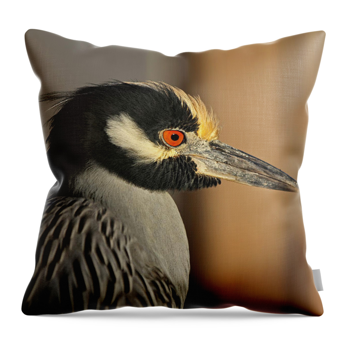 Heron Throw Pillow featuring the photograph Black Crowned Night Heron by Juergen Roth