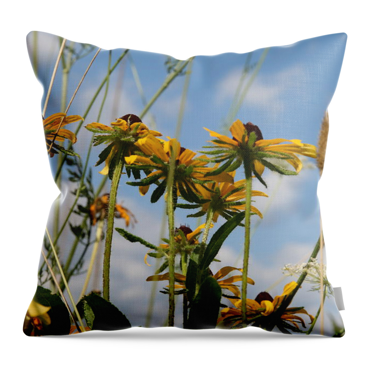 Yellow Flowers Throw Pillow featuring the photograph Black Eyed Susan Cluster by Neal Eslinger