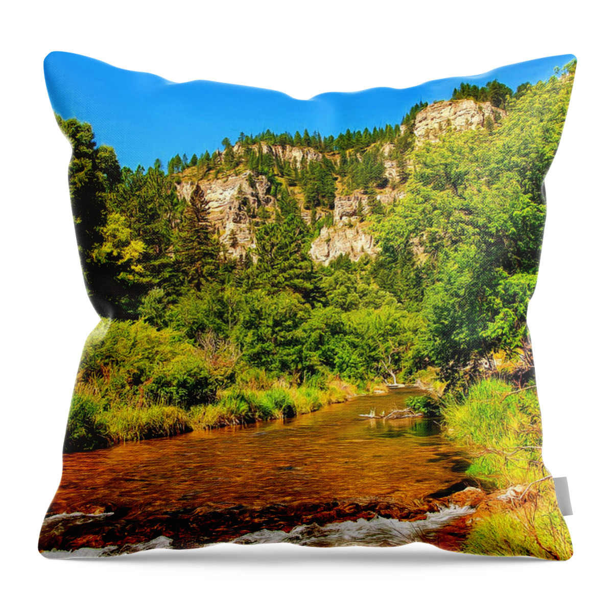 Sky Throw Pillow featuring the photograph Black Hills Beauty by John M Bailey