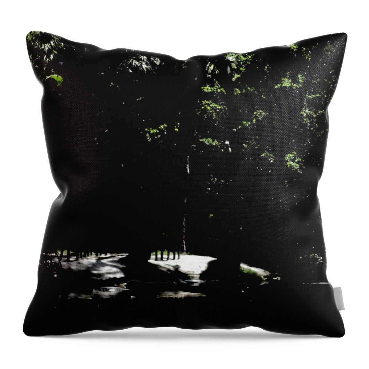 Nature Throw Pillow featuring the photograph Black by Oksana Semenchenko