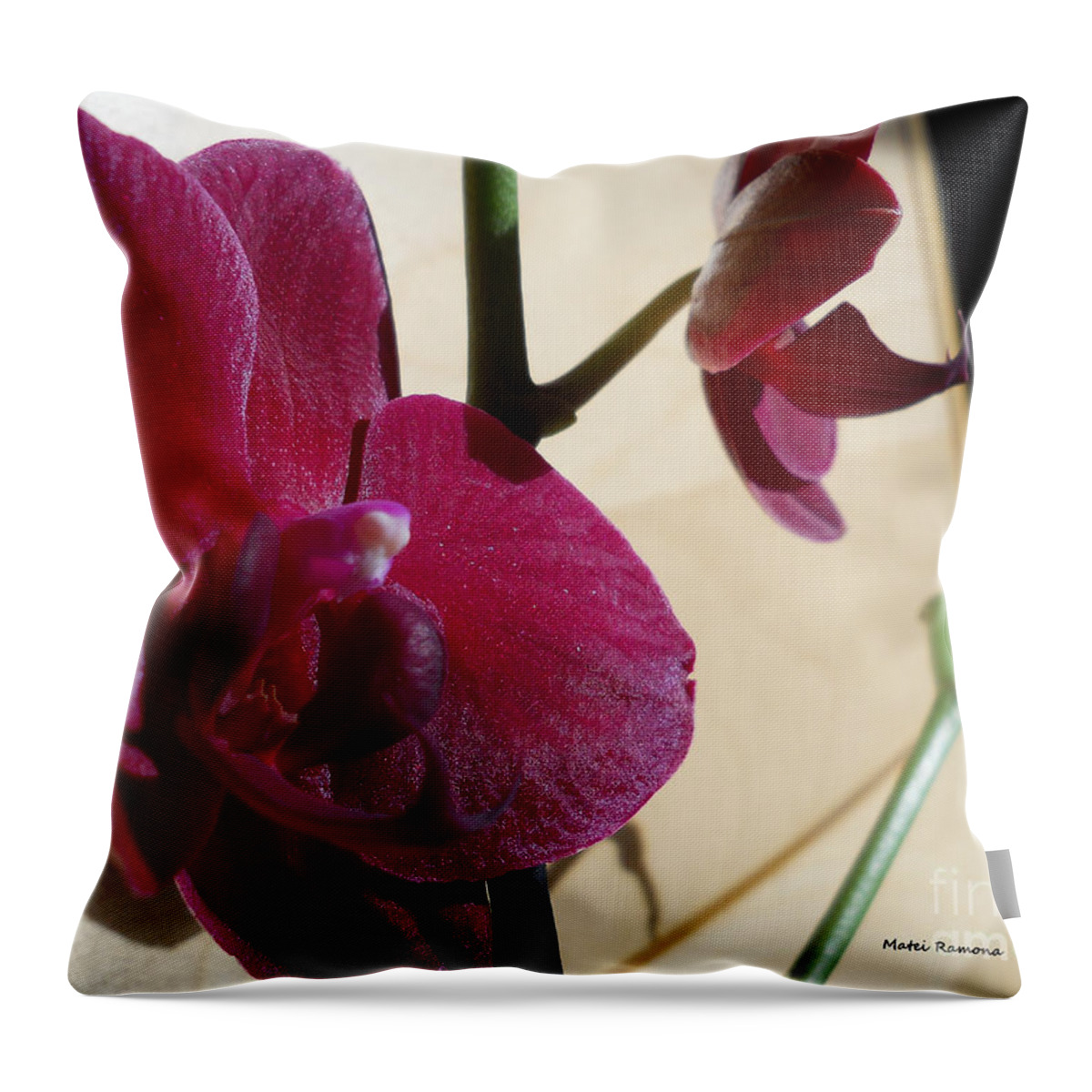 Orchid Throw Pillow featuring the photograph Black Orchid by Ramona Matei