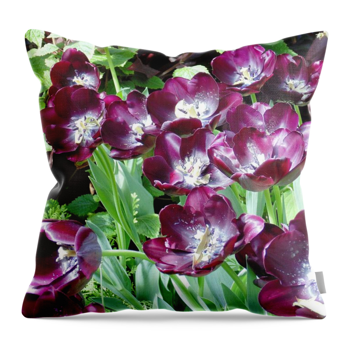 Floral Throw Pillow featuring the photograph Black Tulips by Karin Dawn Kelshall- Best