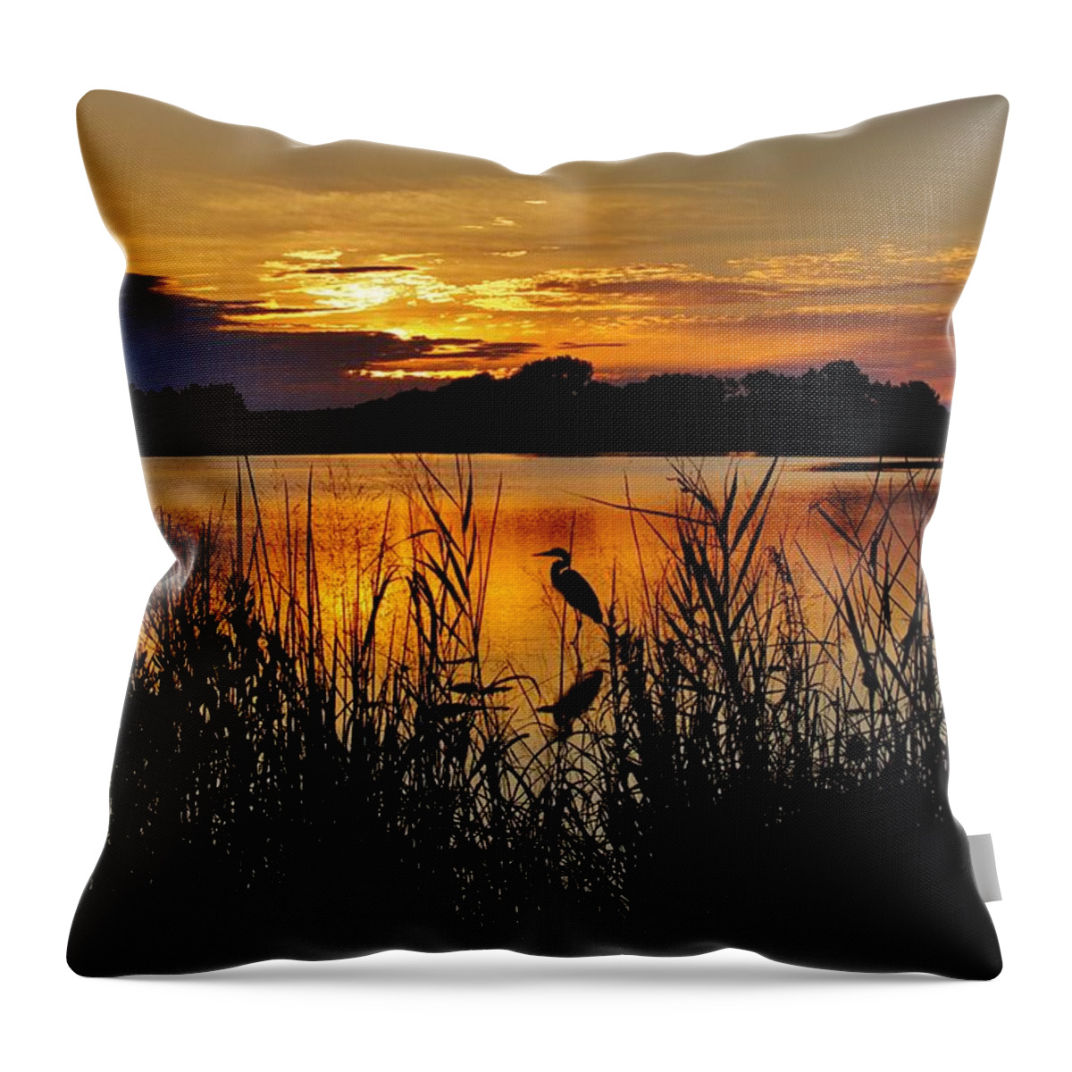 Sun Throw Pillow featuring the photograph Blackwater Morning by Bob Geary