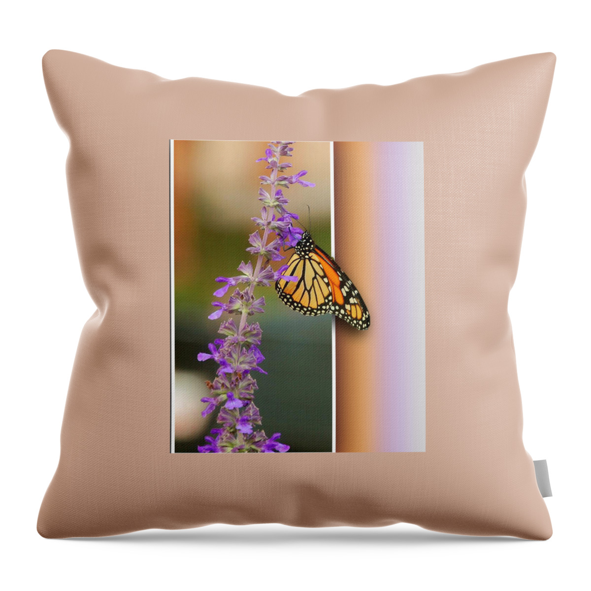 Butterfly Throw Pillow featuring the photograph Blank Greeting Card 3 by Leticia Latocki