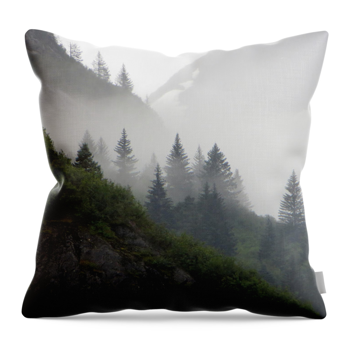 Sawyer Throw Pillow featuring the photograph Blanket Of Fog by Jennifer Wheatley Wolf