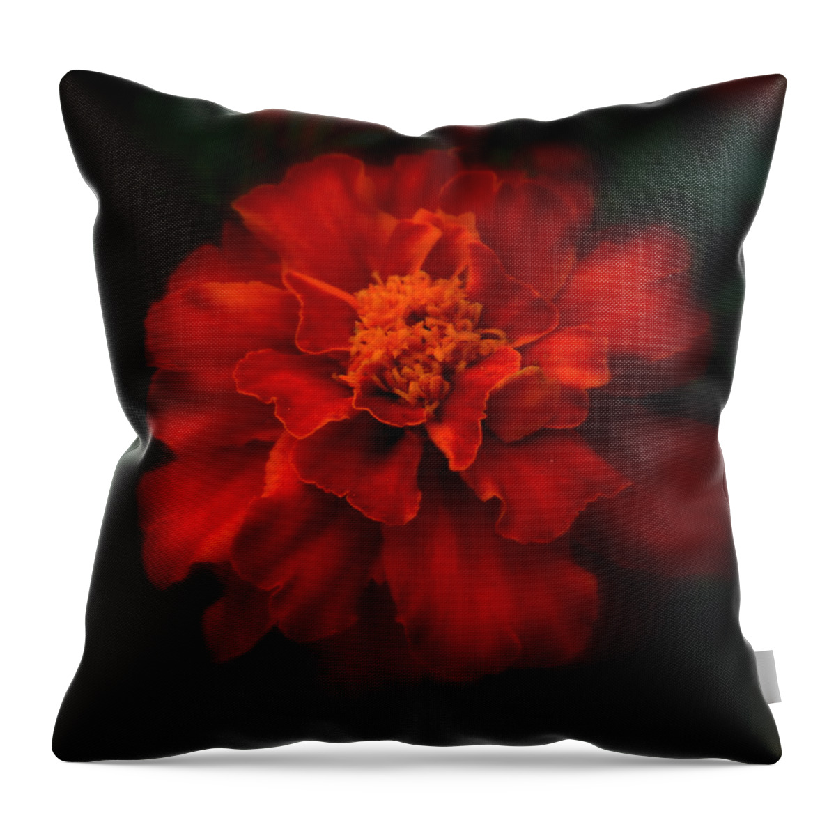 Marigold Throw Pillow featuring the photograph Blazing Marigold by Diannah Lynch