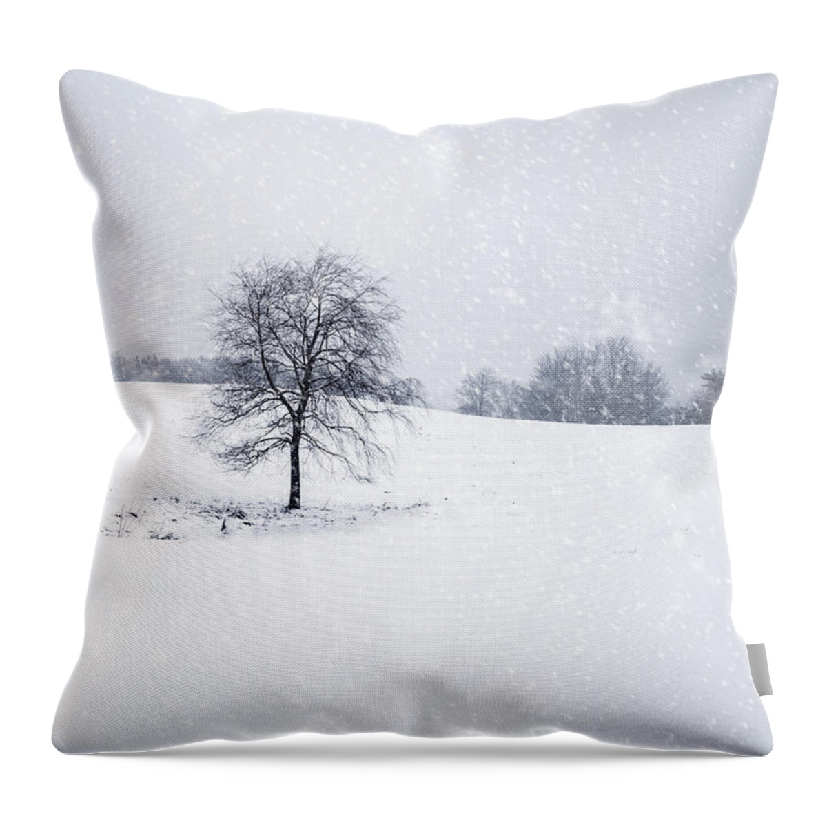 Kremsdorf Throw Pillow featuring the photograph Bleakest Essence by Evelina Kremsdorf