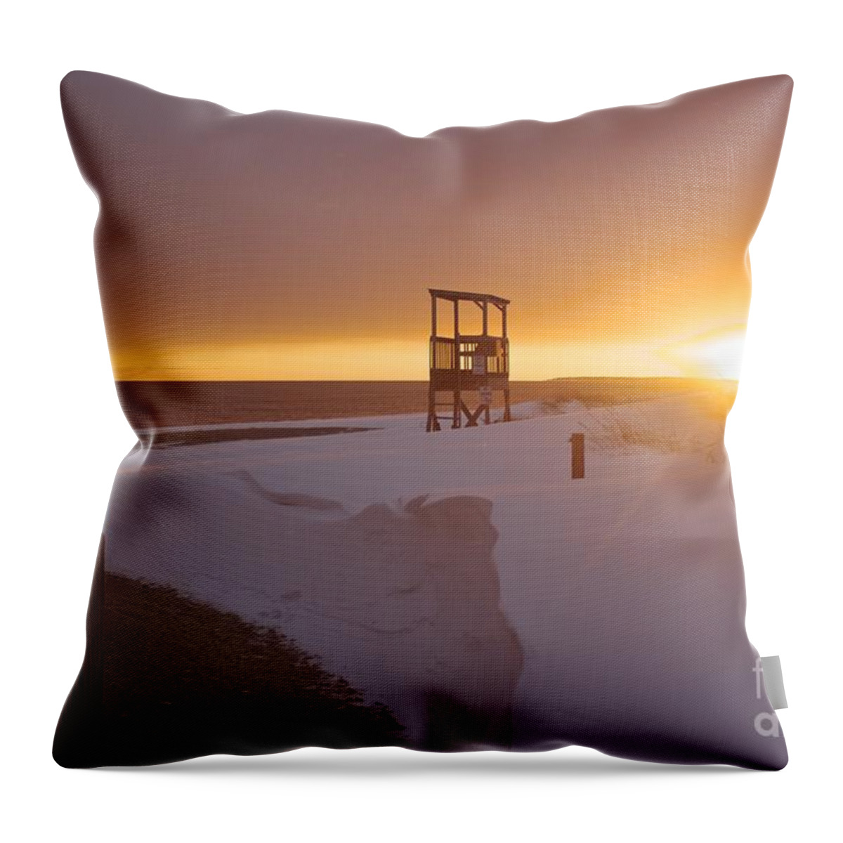 Blizzard Throw Pillow featuring the photograph Blinded by the Sun by Amazing Jules