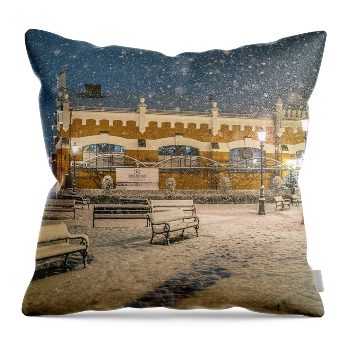 Winter Throw Pillow featuring the photograph Blizzard by Jaroslaw Grudzinski