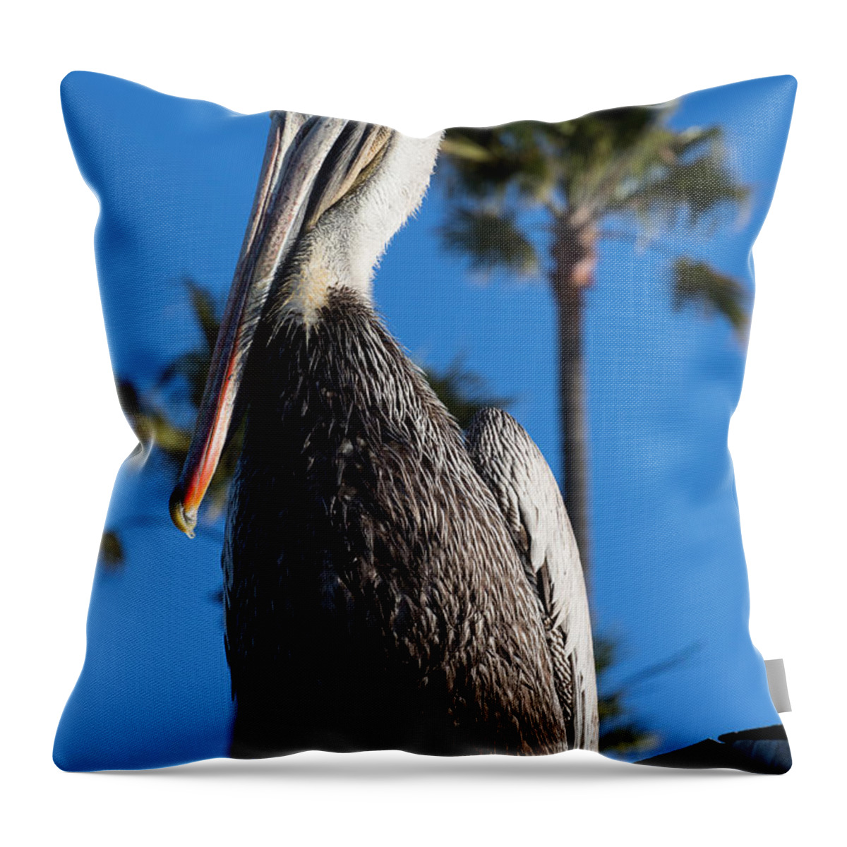 Blond Throw Pillow featuring the photograph Blond Pelican by John Daly