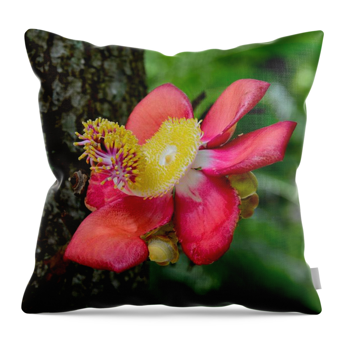  Flower Throw Pillow featuring the photograph Blooming flower of Cannonball Tree by Imran Ahmed