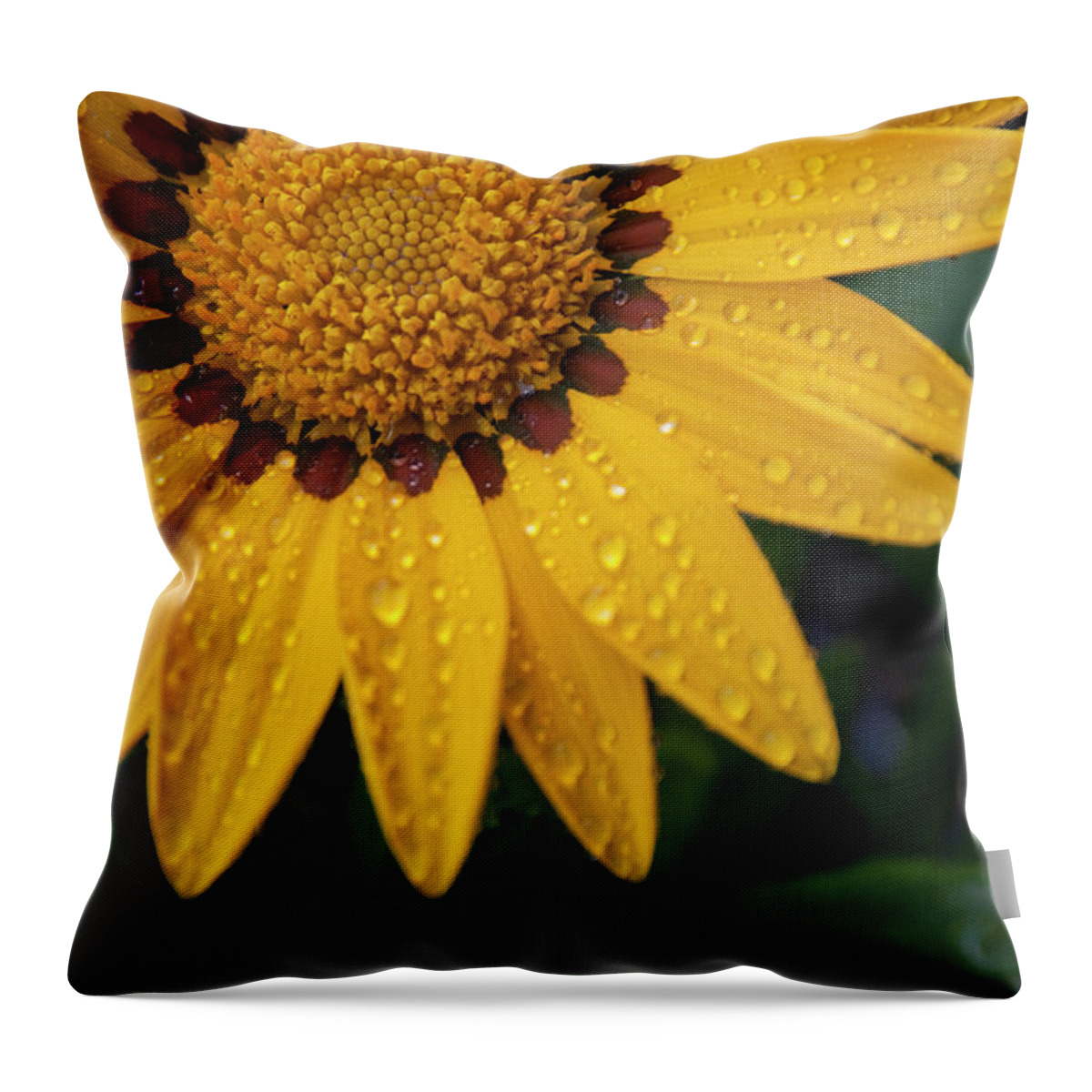 Yellow Flower Throw Pillow featuring the photograph Blossom by Ron White
