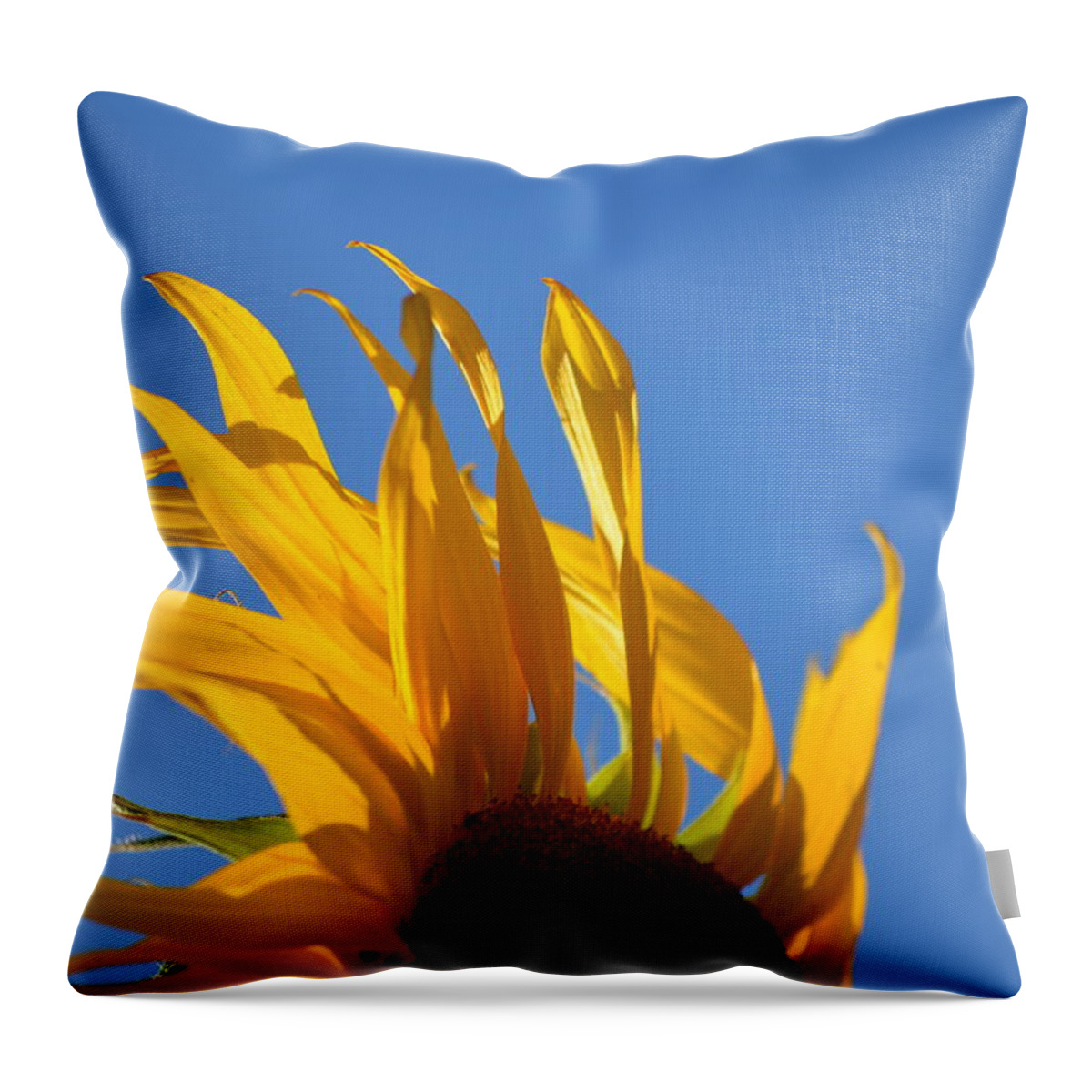 Sunflowers Throw Pillow featuring the photograph Blow Back by Gregory Merlin Brown