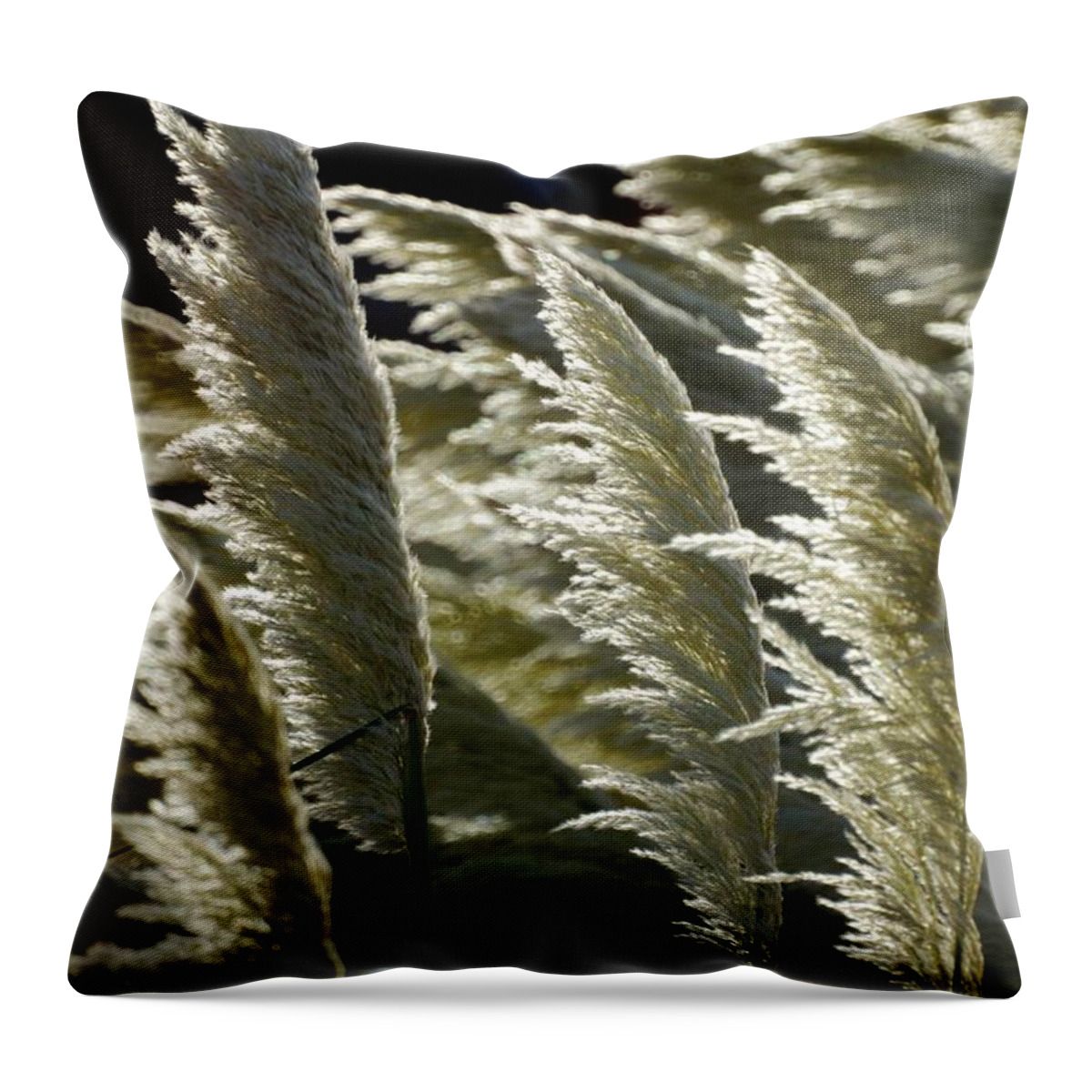 Pampas Throw Pillow featuring the photograph Blowing free by Ron Harpham
