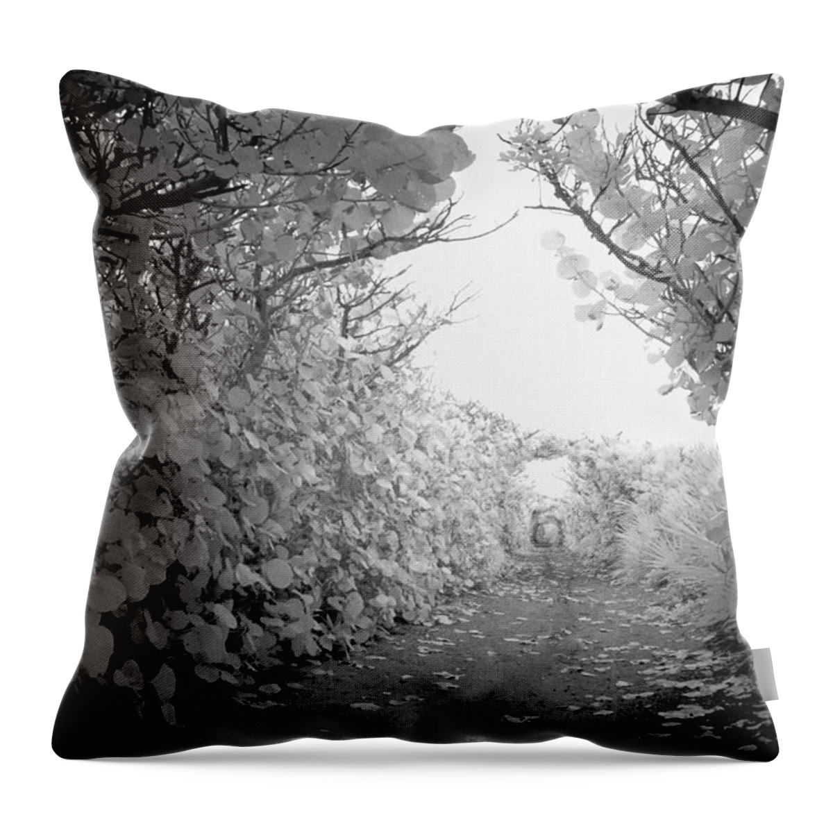 Blowing Throw Pillow featuring the photograph Blowing Rocks Jupiter Florida by Bradley R Youngberg