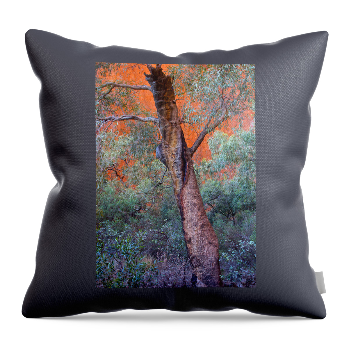 Blue Gum Throw Pillow featuring the photograph Blue Gum Tree by Venetia Featherstone-Witty