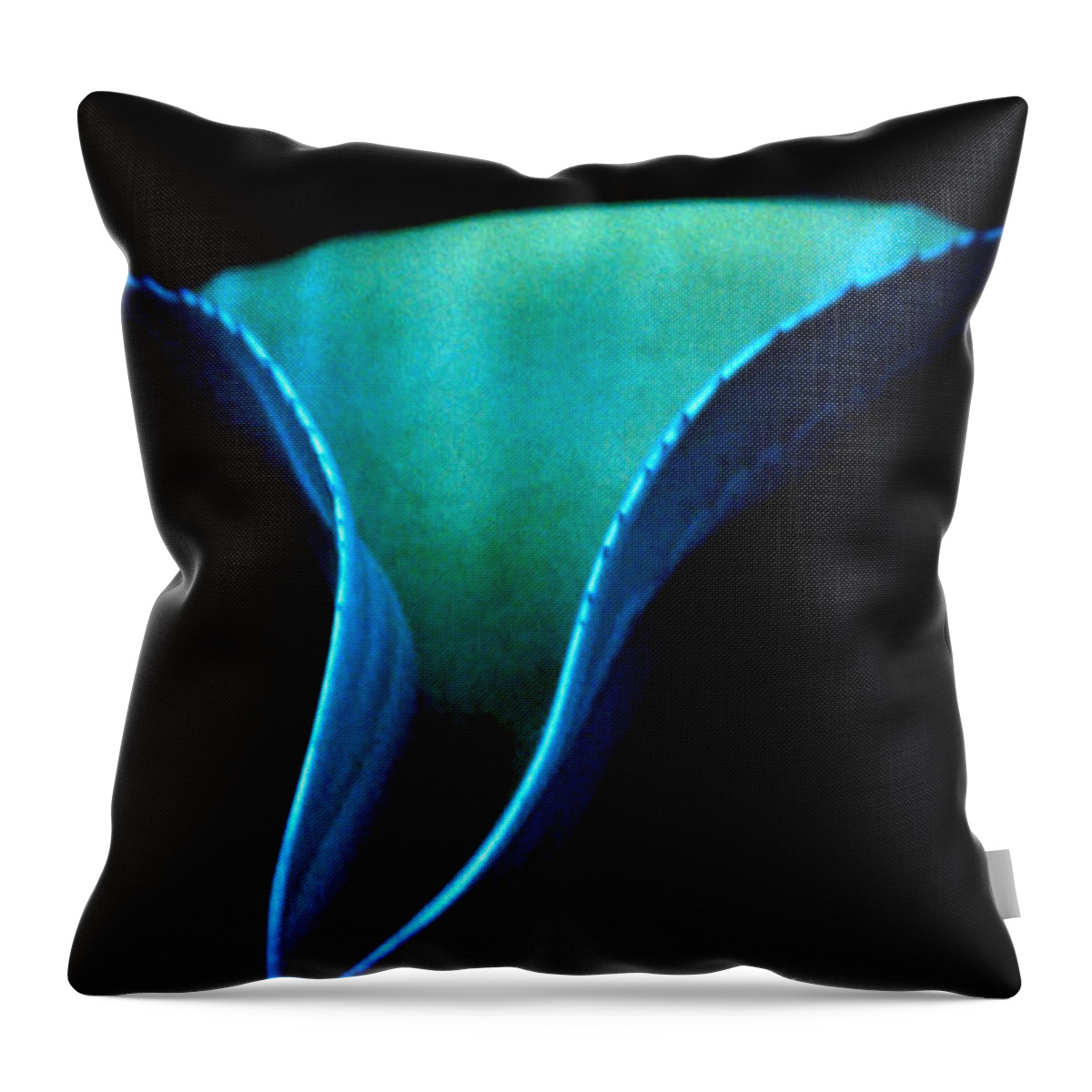 Blue Agave Leaf Succulent Century Plant Blue Turquoise Green Black Leaves Plant Vegetation Arizona Scottsdale Phoenix Tucson Desert Botanical Garden Triangle Point Pointy Throw Pillow featuring the photograph Blue Agave Vertical by Heather Kirk