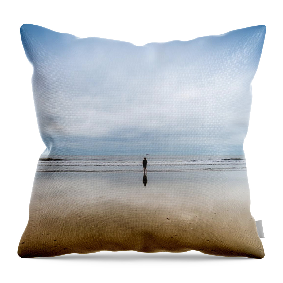 South Carolina Throw Pillow featuring the photograph Blue And Gold by David Downs