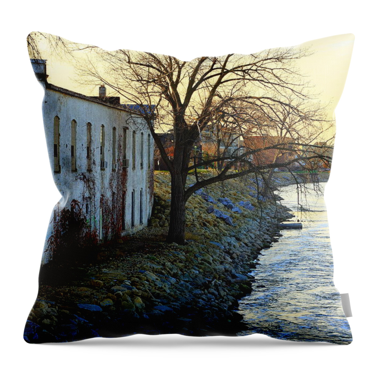 Tree Throw Pillow featuring the photograph Blue and Yellow Morning by Viviana Nadowski