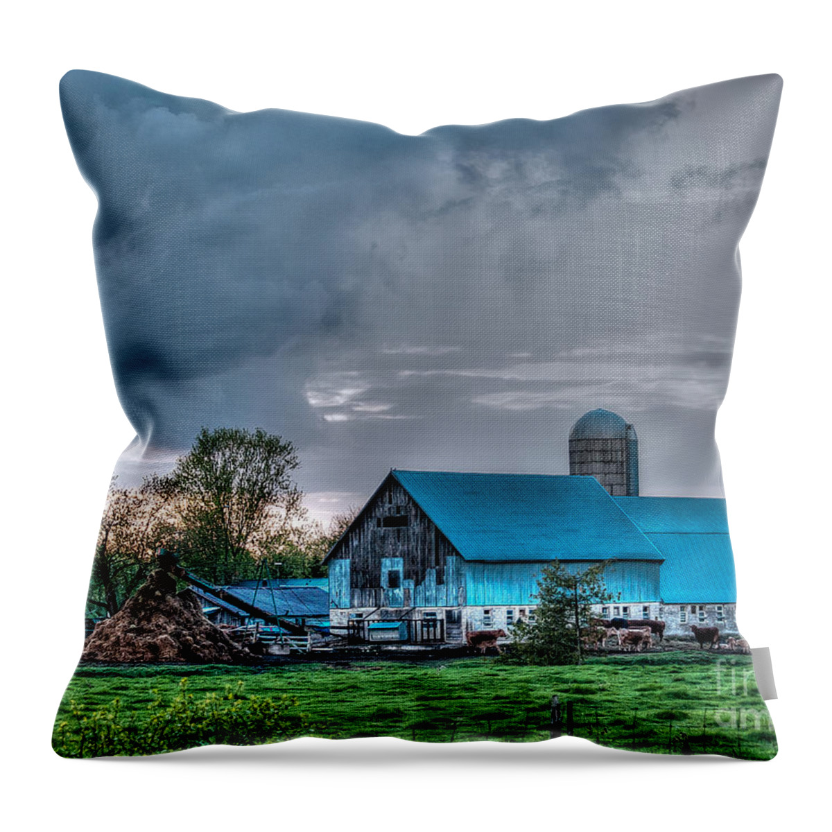 Barn Throw Pillow featuring the photograph Blue Barn by Bianca Nadeau